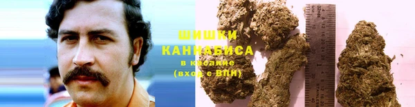 ПСИЛОЦИБИНОВЫЕ ГРИБЫ Балахна