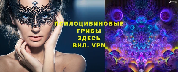 мяу мяу мука Баксан