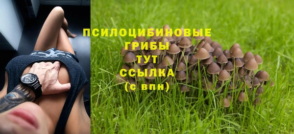мяу мяу мука Баксан