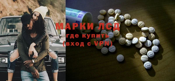 мяу мяу мука Баксан