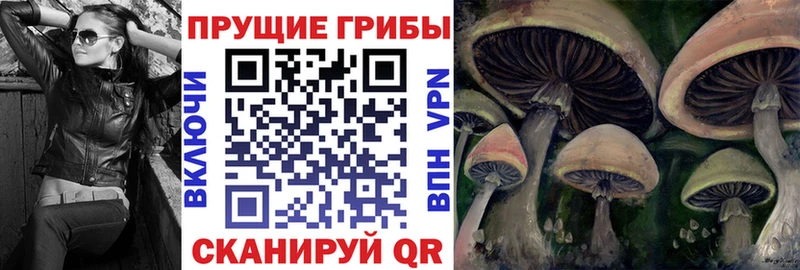 Псилоцибиновые грибы ЛСД Нерюнгри
